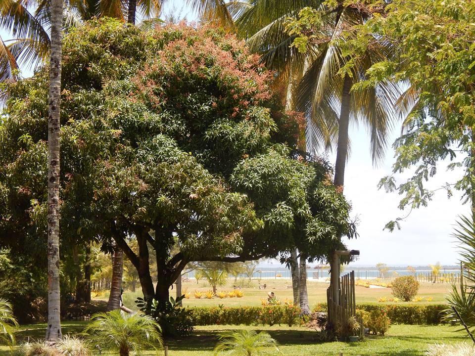 Pousada Aguazul 马劳 外观 照片